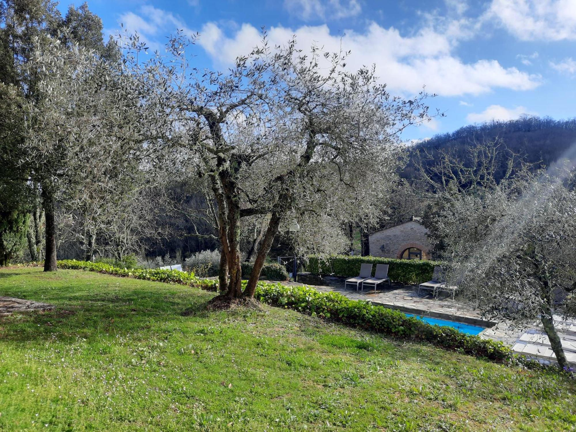 Borgo Livernano - Farmhouse With Pool Radda in Chianti Eksteriør bilde